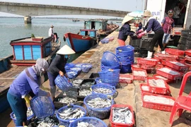 Exportaciones acuícolas de Vietnam suman tres mil 650 millones de dólares