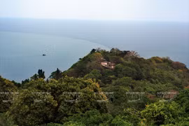 Cabo Ca Mau atrae a visitantes