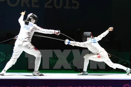 Decisión desfavorable para deporte vietnamita en SEA Games 29