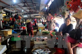 Asistencia urgente en Vietnam a pobladores afectados por muerte masiva de peces