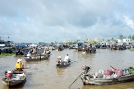 Desarrolla Vietnam turismo responsable en Delta del río Mekong