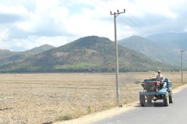 EE.UU. añade 500 mil dólares de ayuda a zonas afectadas por sequía en Vietnam