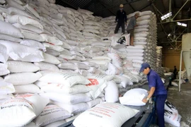 Vietnam exportará 1,6 millones de toneladas de arroz en segundo trimestre