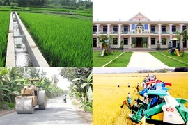 Provincia vietnamita aumenta inversiones en construcción de nueva ruralidad