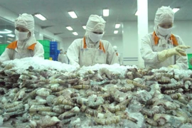 Vietnam prepara exportación de camarones frescos a Australia en 2017