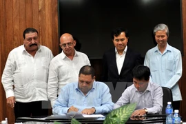 Notable presencia vietnamita en feria cubana de construcción