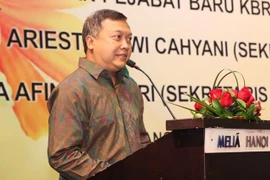 Nexos Vietnam- Indonesia marchan por buen rumbo, afirma embajador indonesio