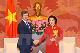 Parlamento vietnamita apoya una mayor cooperación judicial con Italia