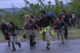 Vietnam asiste a la feria de apoyo a refugiados sirios