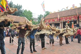Fiesa primaveral de res de paja en Vinh Phuc