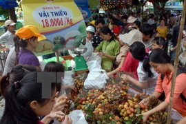 Festival de Fruta sureña resalta valores agrícolas de Vietnam