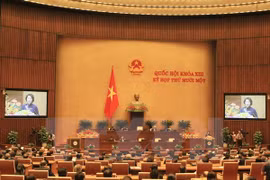 Informan en Vietnam sobre resultados de sesiones parlamentarias