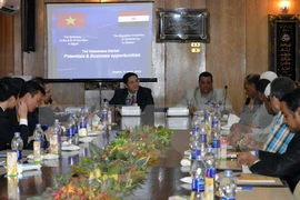 Promueven comercio e inversión entre Vietnam y Egipto