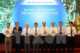 Fundada la Asociación Vietnamita de Macadamia