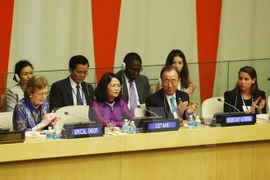 Vietnam recaba ayuda internacional en enfrentamiento a cambio climático