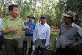 Tay Ninh corre el alto riesgo de incendios forestales
