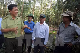 Tay Ninh corre el alto riesgo de incendios forestales