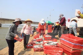 Vietnam e Indonesia impulsan cooperación en el sector pesquero