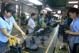 Exportación de cuero de firmas domésticas de Vietnam enfrenta baja de ingreso