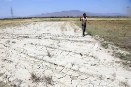 Cambio climático: Provincia vietnamita declara la situación de “catastrófica”