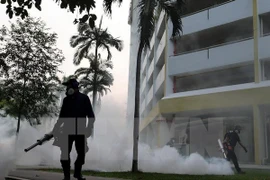 Singapur lanza campaña de eliminación de mosquitos para prevenir Zika