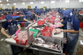 Exportaciones acuáticas totalizan 1,4 mil millones de USD en primer trimestre