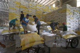 Arroz vietnamita por penetrar al mercado francés