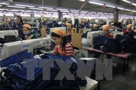 Economía de Vietnam crecerá 6,82 por ciento este año