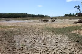 Delta del Mekong enfrenta graves impactos del cambio climático