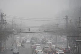 OMS: El ser humano está amenazado por la contaminación ambiental