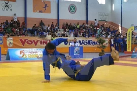 Abren exposición fotográfica de artes marciales de Vietnam