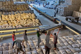 Pronostican en Vietnam exportación de arroz este año similar a 2015