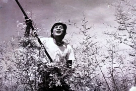 Por primera vez presentan películas vietnamitas en pantalla india