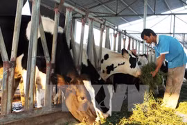 En Vietnam celebran feria de tecnología en procesamiento de alimentos