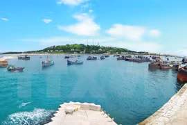 Soluciones para impulsar economía marítima en Vietnam