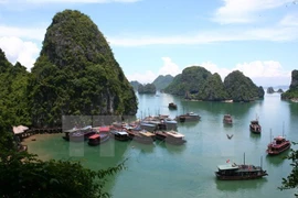 Asistencia japonesa a la protección ambiental en Bahía de Ha Long