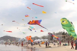 Festival internacional de papalote abierto en Vietnam