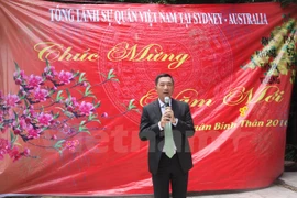 Residentes vietnamitas en ultramar celebran encuentros en ocasión del Tet
