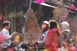 El Calendario Lunar guía la vida vietnamita