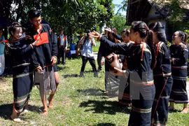 Reviven fiestas tradicionales vietnamitas en ocasión del Tet