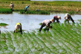 Séptimo Congreso Asiático de Agricultores