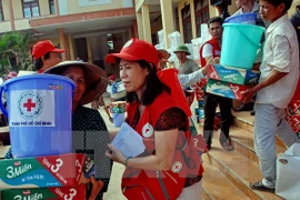 Vietnamitas en extranjero apoyan a connacionales afectados por inundaciones