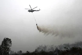 Aumentan incendios forestales en Indonesia