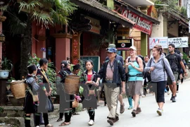 Crece llegada de turistas a Vietnam