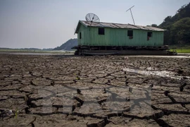Vietnam y Holanda impulsan nexos de asociación en lucha contra cambio climático