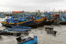 Pescadores decididos a aferrarse al mar 