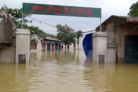 Respaldan vietnamitas en extranjero a compatriotas afectados por inundaciones