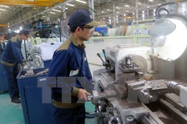 Vietnam y países nórdicos observan vínculos comerciales