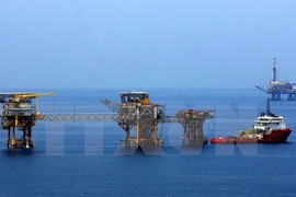 Vietnam aumenta importación de productos petroleros de países de ASEAN