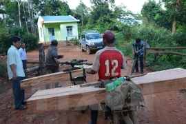Premier vietnamita pide investigar la deforestación en Kon Tum